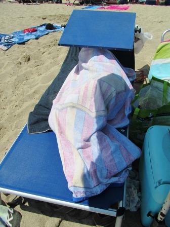 Siesta?